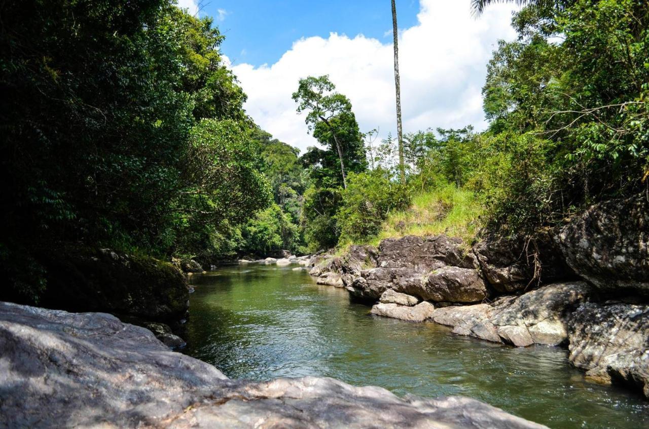 Sitio Flor Das Aguas Lumiar Extérieur photo